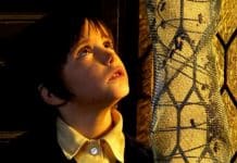 Sétima Arte em Cenas – “O Espírito da Colmeia”, de Victor Erice