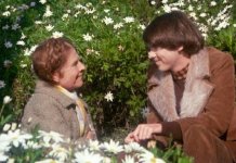 “Ensina-me a Viver”, de Hal Ashby, na AMAZON PRIME