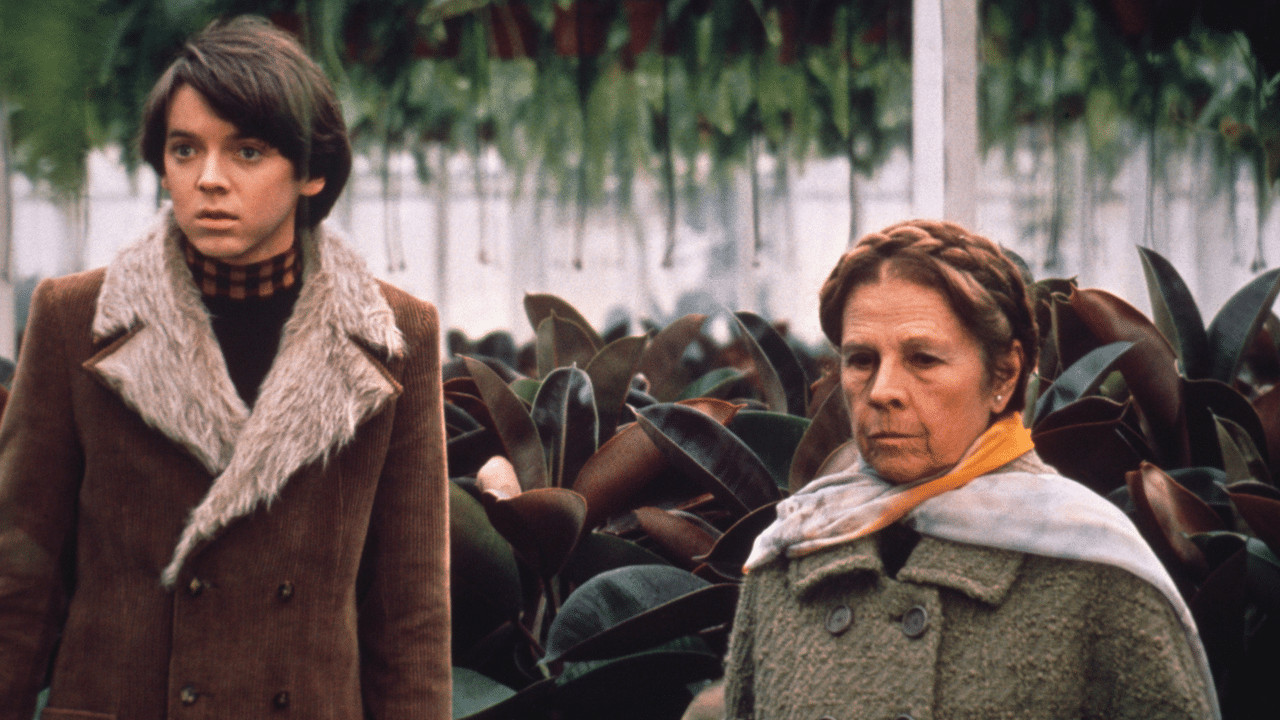 devotudoaocinema.com.br - "Ensina-me a Viver", de Hal Ashby, na AMAZON PRIME