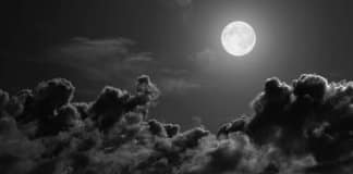 TOP – Filmes sobre Lobisomens