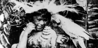 “No Paiz das Amazonas” / “Copacabana, Mon Amour”