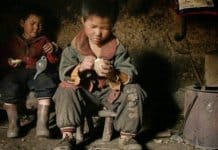 “Sozinha” / “Blackfish – Fúria Animal”