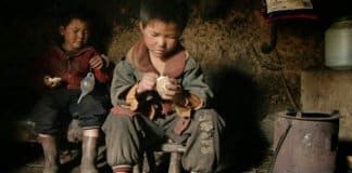 “Sozinha” / “Blackfish – Fúria Animal”