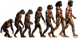 A cultura é mais forte que a espada