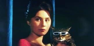 Sétima Arte em Cenas – “Um Dia, Um Gato”, de Vojtech Jasný