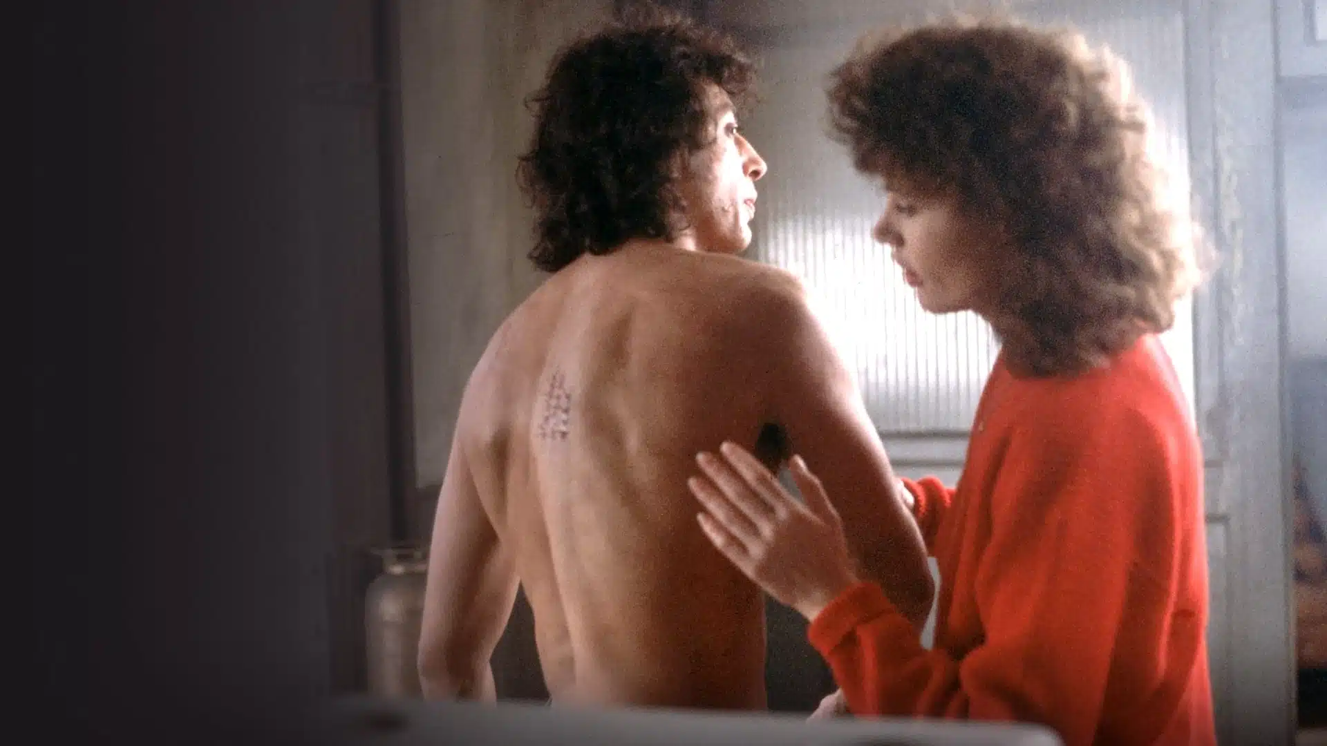 devotudoaocinema.com.br - Analisando a metáfora de "A Mosca", de David Cronenberg