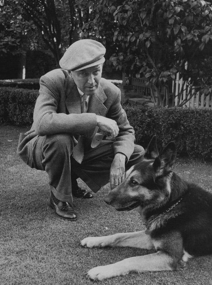 devotudoaocinema.com.br - "Beau", o lindo poema que James Stewart escreveu para seu cão