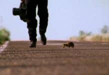 “El Mariachi”, de Robert Rodriguez “El Mariachi”, de Robert Rodriguez