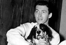 “Beau”, o lindo poema que James Stewart escreveu para seu cão