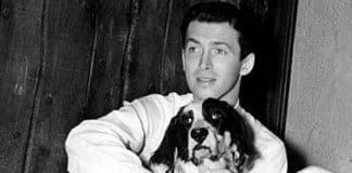 “Beau”, o lindo poema que James Stewart escreveu para seu cão