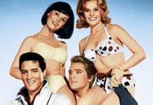 Nos Embalos do Rei do Rock – “Com Caipira Não Se Brinca” Nos Embalos do Rei do Rock – “Com Caipira Não Se Brinca”