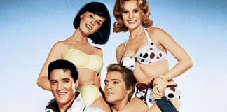 Nos Embalos do Rei do Rock – “Com Caipira Não Se Brinca”