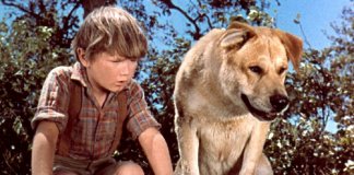 Filmes em que animais roubam a cena e, acredite, roubarão seu CORAÇÃO