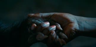 “As Boas Maneiras” é um ousado terror nacional que peca na execução