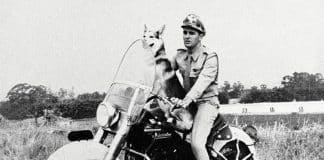 Crítica nostálgica da clássica série nacional “O Vigilante Rodoviário” (1959-1962)