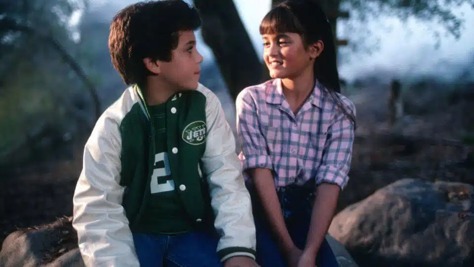 Crítica nostálgica da clássica série "Anos Incríveis" (1988-1993) devotudoaocinema.com.br - Crítica nostálgica da clássica série "Anos Incríveis" (1988-1993)