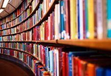 Reflexão após a eleição de Bolsonaro como presidente