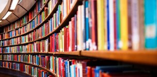 Reflexão após a eleição de Bolsonaro como presidente