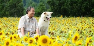 Tesouros da Sétima Arte – “O Cão Que Guarda as Estrelas”, de Takimoto Tomoyuki