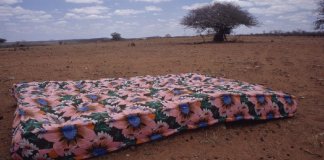 “Viajo Porque Preciso, Volto Porque Te Amo”, de Karim Aïnouz e Marcelo Gomes