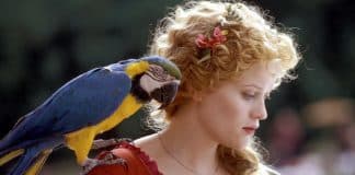 Ótimas opções para todos os gostos no catálogo da NETFLIX