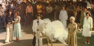 “O Jeca e a Égua Milagrosa”, pérola do inesquecível MAZZAROPI