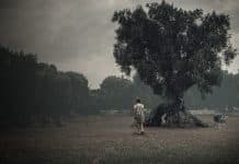 Crítica de “O Fascínio”, de Domenico de Feudis, na NETFLIX Crítica de “O Fascínio”, de Domenico de Feudis, na NETFLIX