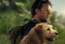 ÓTIMOS filmes que ACABAM de entrar na AMAZON PRIME ÓTIMOS filmes que ACABAM de entrar na AMAZON PRIME