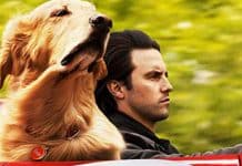 Pérolas que ACABAM de entrar na NETFLIX Pérolas que ACABAM de entrar na NETFLIX