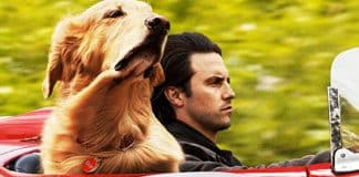 Pérolas que ACABAM de entrar na NETFLIX