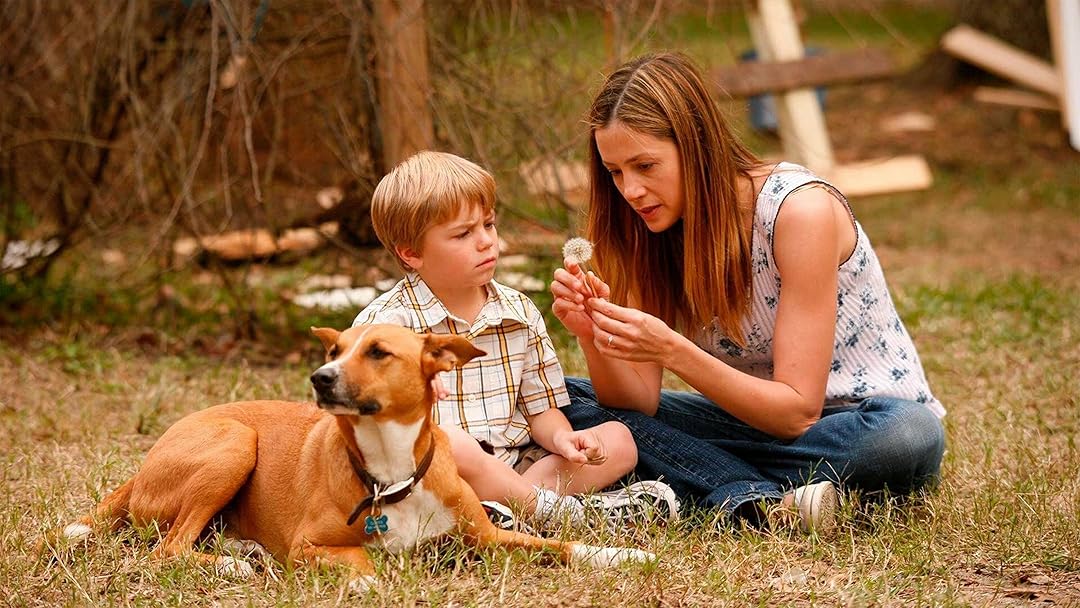 devotudoaocinema.com.br - PÉROLAS que ACABAM de entrar na AMAZON PRIME