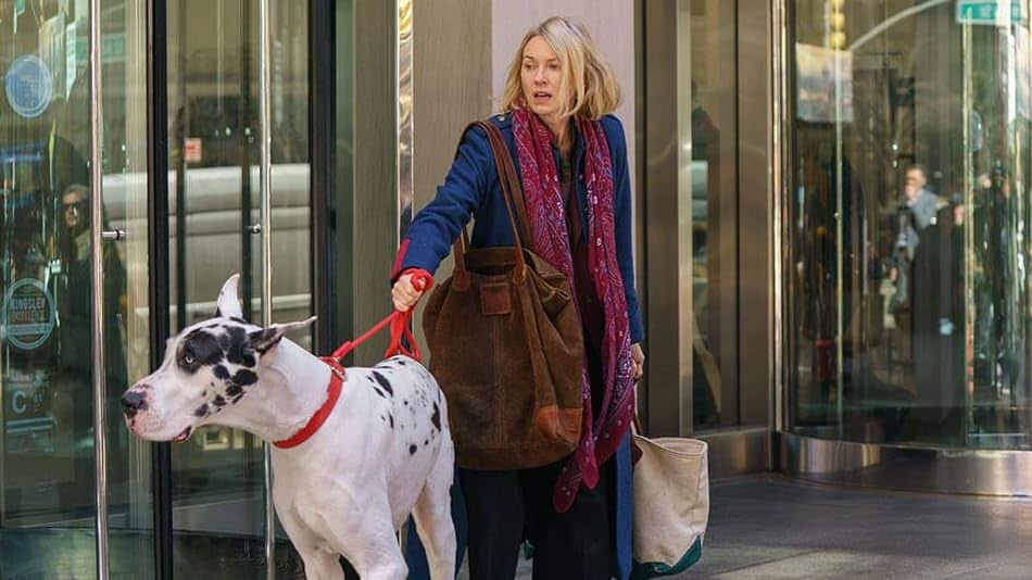 devotudoaocinema.com.br - ÓTIMOS filmes que ACABAM de entrar na AMAZON PRIME