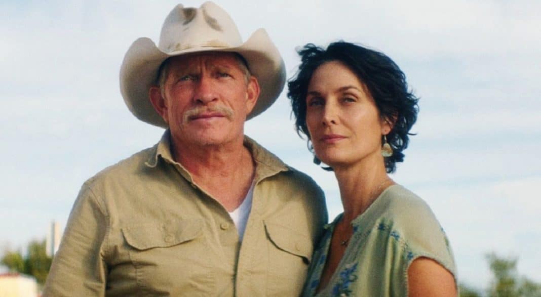 PÉROLAS que ACABAM de entrar na AMAZON PRIME