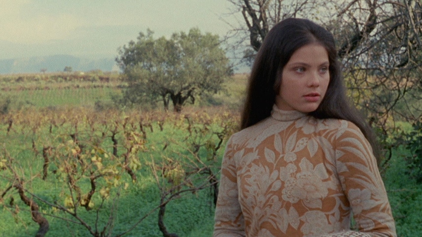 devotudoaocinema.com.br - ÓTIMOS filmes que ACABAM de entrar na AMAZON PRIME