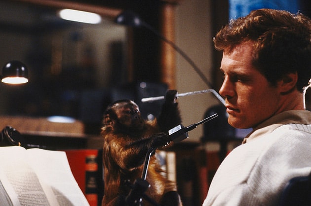 devotudoaocinema.com.br - Uma ENXURRADA de pérolas que ACABAM de entrar na AMAZON PRIME