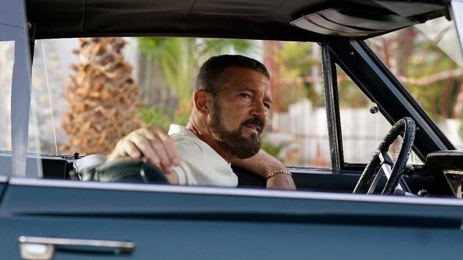 devotudoaocinema.com.br - P&Eacute;ROLAS que ACABAM de entrar na NETFLIX