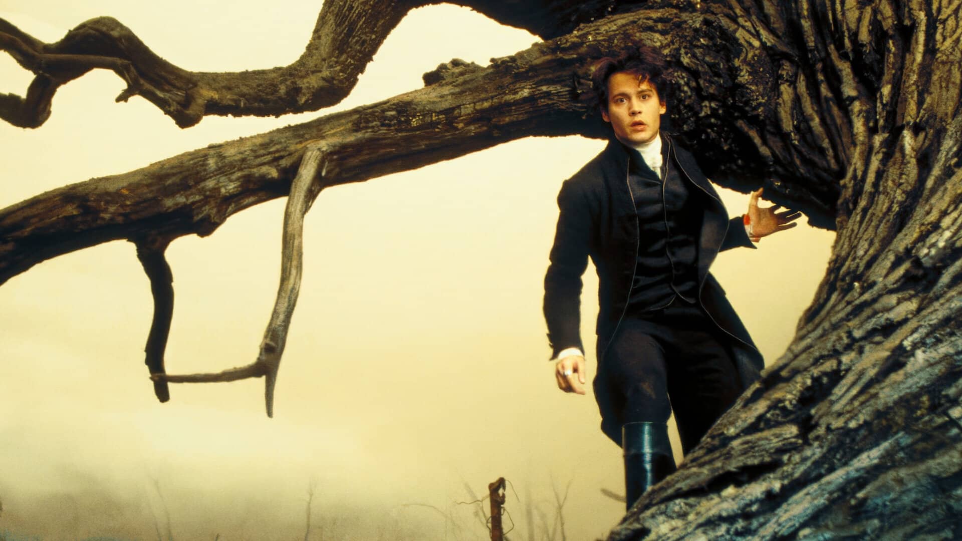 FILMAÇOS que ACABAM de entrar na NETFLIX devotudoaocinema.com.br - FILMAÇOS que ACABAM de entrar na NETFLIX