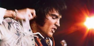 devotudoaocinema.com.br -