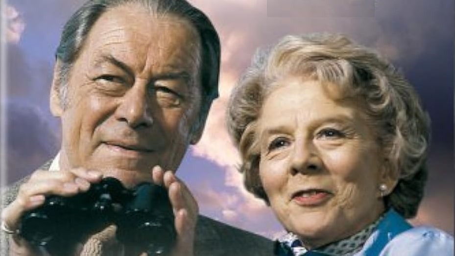 devotudoaocinema.com.br - 30 &Oacute;TIMOS telefilmes das d&eacute;cadas de 70, 80 e 90