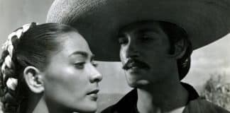 devotudoaocinema.com.br -