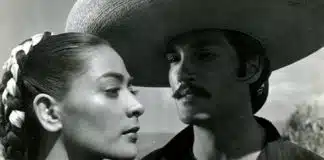 devotudoaocinema.com.br -